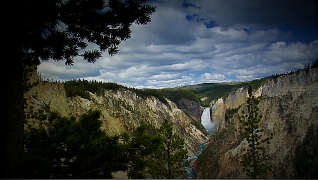 Lower Falls-Yellowstone National Park