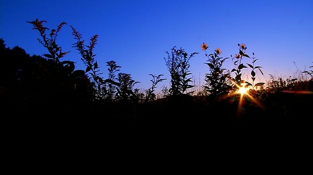 filming the sunrise on the tallgrass prairie