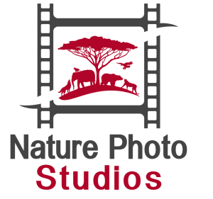 Nature Photo Studios Logo