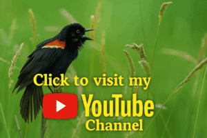Click to visit my youtube channel