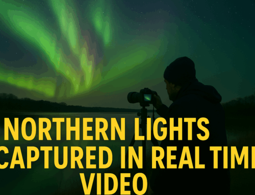 The Sky Came Alive: Real-Time Northern Lights Footage